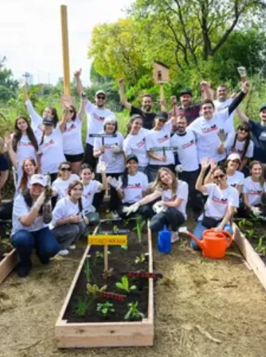 Equipo de TAGMA trabajando en una huerta escolar